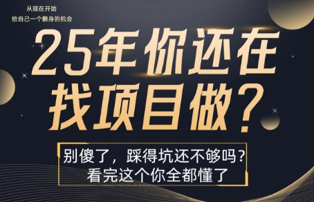 25年,你还在疯狂的找项目吗?别傻了,看完这个你都懂了【揭秘】-慧阅轩