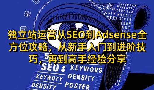 独立站运营从SEO到Adsense全方位攻略,从新手入门到进阶技巧,再到高手经验分享-慧阅轩