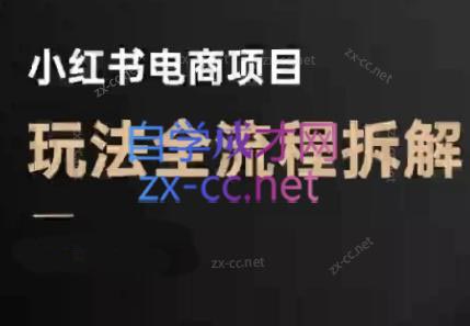 菲菲老师·小红书电商玩法(更新9月)-慧阅轩