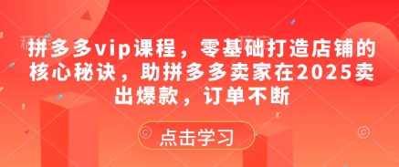 拼多多vip课程,零基础打造店铺的核心秘诀,助拼多多卖家在2025卖出爆款,订单不断-慧阅轩