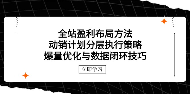 全站盈利布局方法:动销计划分层执行策略,爆量优化与数据闭环技巧-慧阅轩