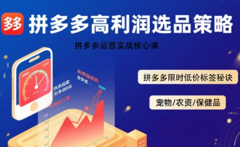 拼多多选品暴利技术实战课,拼多多高利润选品策略,拼多多限时低价标签秘诀-慧阅轩