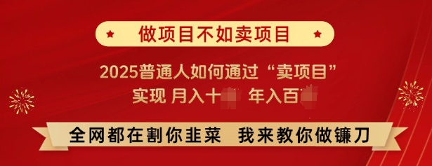 必看,做项目不如卖项目,2025普通人如何通过“卖项目”实现月入十个,年入百个-慧阅轩