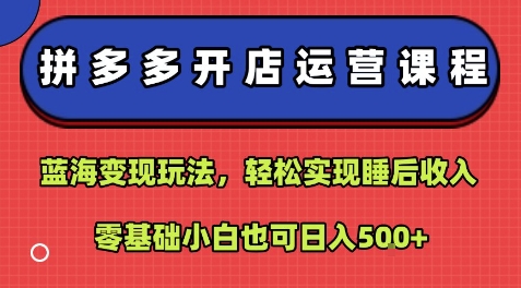 拼多多开店运营课程:蓝海变现玩法,轻松实现睡后收入,零基础小白也可日入5张-慧阅轩