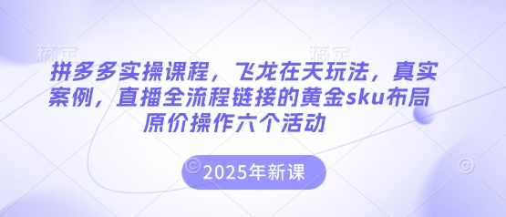 拼多多实操课程,飞龙在天玩法,真实案例,直播全流程链接的黄金sku布局原价操作六个活动-慧阅轩