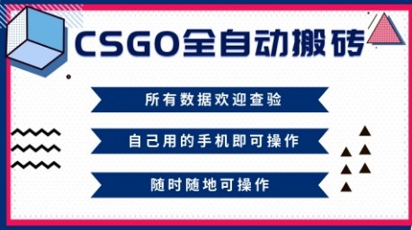 CSGO全自动搬砖,年底钱回家好项目,当天可拿到结果,新手小白轻松月入1W+【揭秘】-慧阅轩