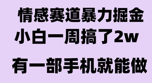 情感暴力掘金项目,新人操作一周挣了2W,长期稳定小白可做【揭秘】-慧阅轩