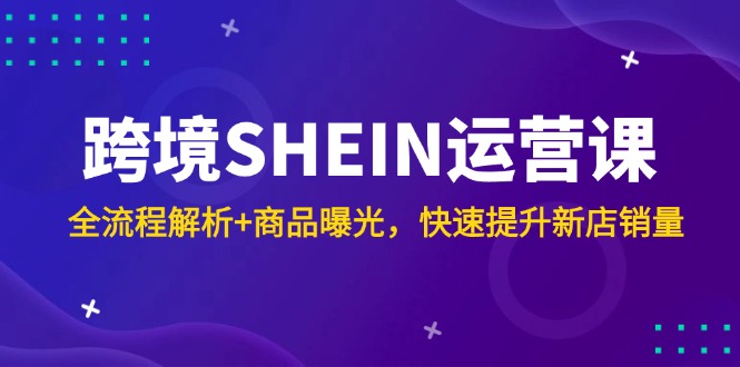 跨境SHEIN运营课,全流程解析+商品曝光,快速提升新店销量-慧阅轩