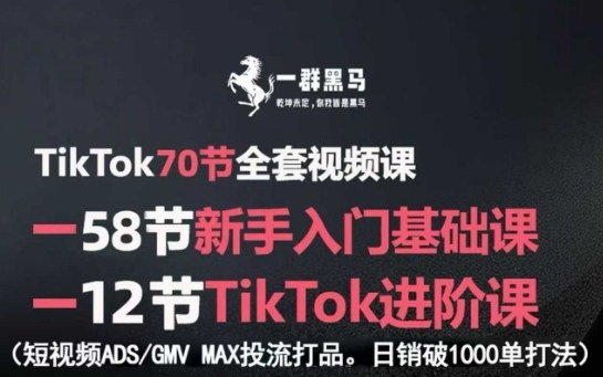 TikTok全套视频课，新手入门+进阶课，短视频ADS-GMV MAX投流打品，日销破1000单打法-慧阅轩