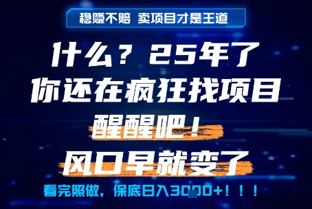 什么?25年你还在疯狂找项目做,醒醒吧,看完这些你全都懂了!【揭秘】-慧阅轩