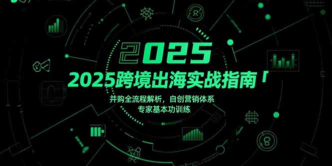 2025跨境出海实战指南,并购全流程解析,自创营销体系,专家基本功训练-慧阅轩