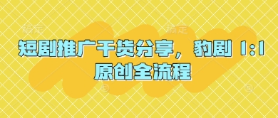 短剧推广干货分享,豹剧 1:1原创全流程-慧阅轩