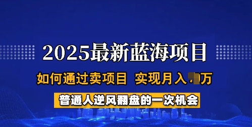 2025蓝海项目,普通人如何通过卖项目,实现月入过W,全过程【揭秘】-慧阅轩
