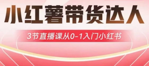 小红薯达人带货启航计划,3节直播课从0-1入门小红书-慧阅轩