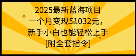 2025最新蓝海项目一个月变现1w+新手小白也能轻松上手【附全套指令】-慧阅轩