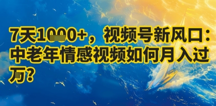 7天收益1k+,视频号新风口:中老年情感视频如何月入过W?-慧阅轩