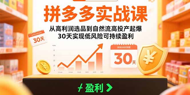 拼多多实战课：从高利润选品到自然流高投产起爆 30天实现低风险可持续盈利-慧阅轩