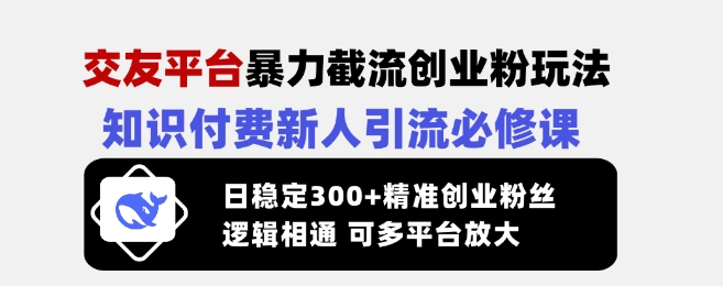 交友平台暴力截流创业粉玩法,知识付费新人引流必修课,日稳定300+精准创业粉丝,逻辑相通可多平台放大-慧阅轩