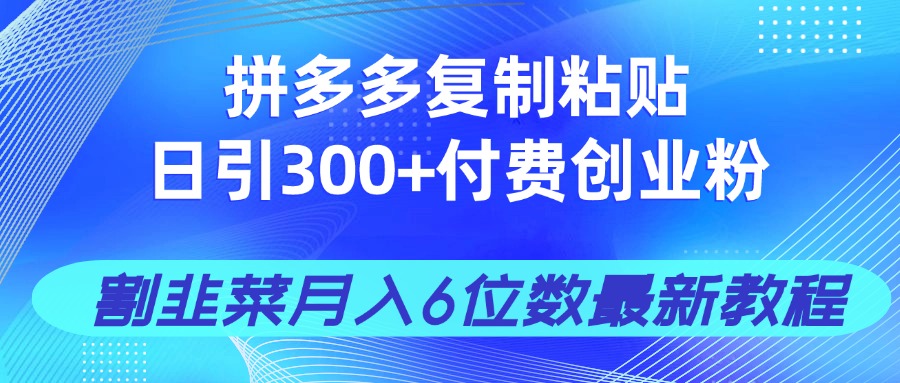 拼多多复制粘贴日引300+付费创业粉,割韭菜月入6位数最新教程!-慧阅轩
