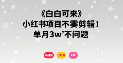 小白可来 小红书项目不需要剪辑 单月3w不是问题-慧阅轩