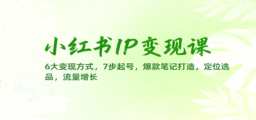 小红书IP变现课:6大变现方式,7步起号,爆款笔记打造,定位选品,流量增长-慧阅轩