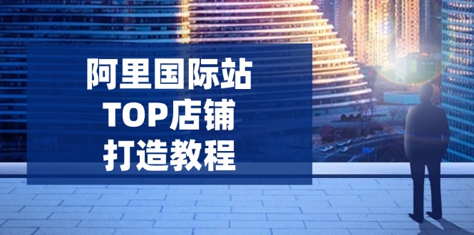 阿里国际站TOP店铺打造教程:涵盖平台到高阶,解决运营难题,提升询盘-慧阅轩