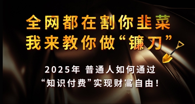 全网都在割你韭菜,我来教你做镰刀,2025年普通人如何通过 知识付费 实现财F自由【揭秘】-慧阅轩