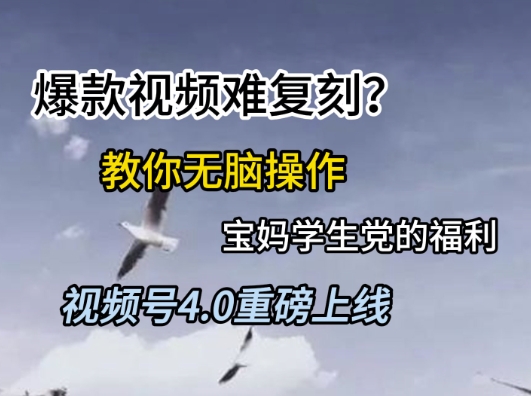 视频号4.0重磅上线,爆款视频难复刻?教你无脑操作宝妈学生党的福利【揭秘】-慧阅轩