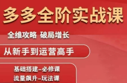 大炮·拼多多全阶实战课程(更新10月)-慧阅轩
