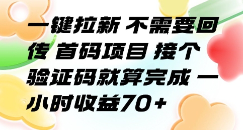 一键拉新 不需要回传 首码项目 接个验证码就算完成 一小时收益70+【揭秘】-慧阅轩
