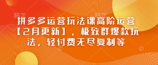 拼多多运营玩法课高阶运营【2月更新】,极致群爆款玩法,轻付费无尽复制等-慧阅轩