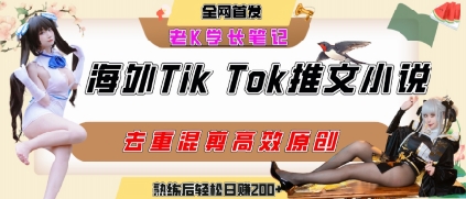海外tiktok小说推文暴力项目,高停留率,高转化率,上手后一天搞顿饭钱不是问题-慧阅轩