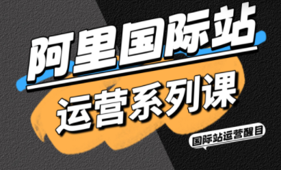 醒目老师·阿里国际站运营系列课(更新11月)-慧阅轩