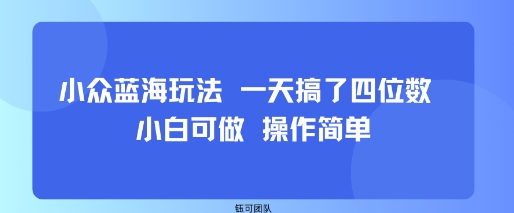 小众蓝海玩法 一天搞了四位数 小白可做 操作简单-慧阅轩