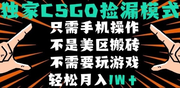 CSGO自动捡漏项目,最新独家玩法,不是美区搬砖,不需要了解和玩游戏,新手小白轻松月入1W+【揭秘】-慧阅轩