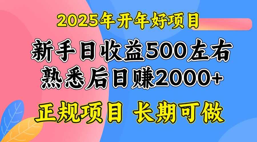 2025开年好项目,单号日收益2000左右-慧阅轩