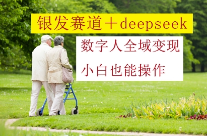 银发赛道+deepseek数字人全域变现,小白也能操作-慧阅轩
