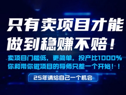 只有卖项目才能做到稳挣不赔,门槛低,更简单,你也可以年入百个W【揭秘】-慧阅轩