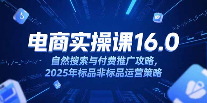 淘宝电商运营课16.0，自然搜索与付费推广攻略，2025年标品非标品运营策略-慧阅轩