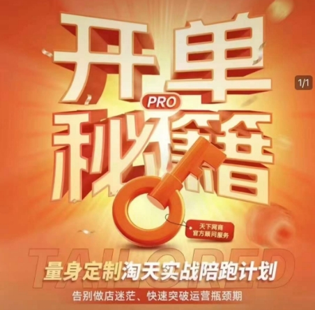 淘宝开单秘籍PRO,量身定制淘天实战陪跑计划,告别做店迷茫、快速突破运营瓶颈期(更新)-慧阅轩