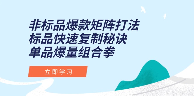 非标品爆款矩阵打法,标品快速复制秘诀,单品爆量组合拳-慧阅轩