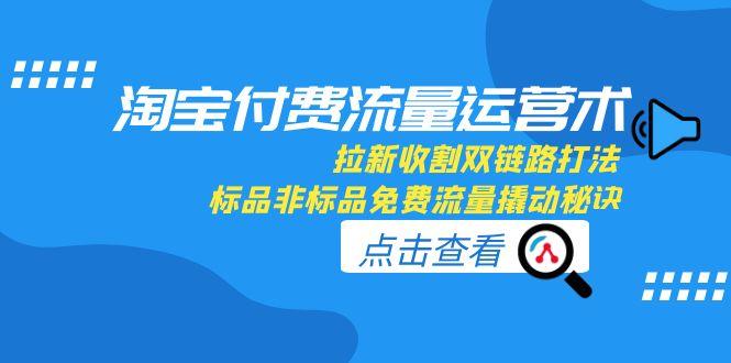 淘宝付费流量运营术,拉新收割双链路打法,标品非标品免费流量撬动秘诀-慧阅轩