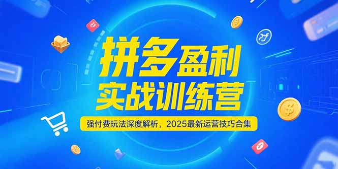 拼多多盈利实战训练营,强付费玩法深度解析,2025运营技巧合集-更新6月-慧阅轩