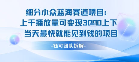 小众蓝海赛道项目:当天变现1k+适合新手操作 +适合长期玩-慧阅轩