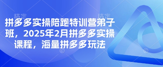 拼多多实操陪跑特训营弟子班,2025年2月拼多多实操课程,海量拼多多玩法-慧阅轩