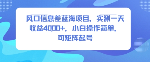风口信息差蓝海项目，实测一天收益4k+，小白操作简单，可矩阵起号-慧阅轩