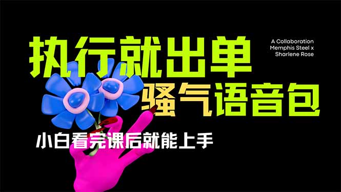 爆火全网的开车导航骚气语音包,只要执行就出单,小白看完课程就能实操…-慧阅轩