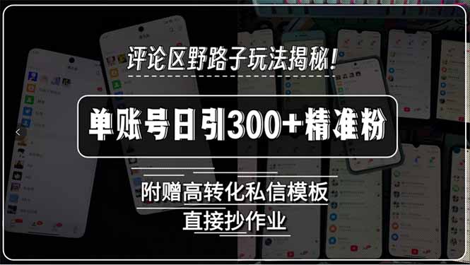 评论区野路子玩法揭秘!单账号日引300+精准粉,附赠高转化私信模板,直…-慧阅轩