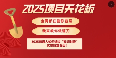2025项目天花板普通人如何通过知识付费,实现财F自由【揭秘】-慧阅轩