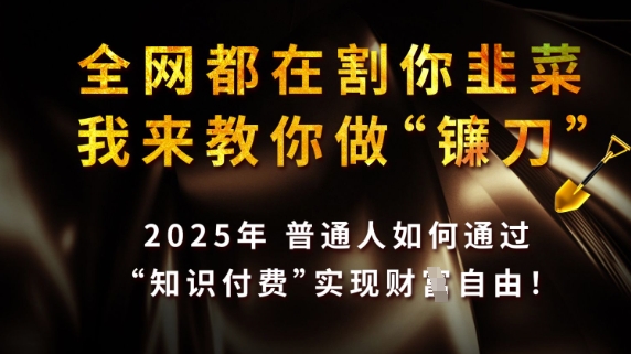 全网都在割你韭菜,我来教你做镰刀,2025普通人如何通过知识付费,实现财F自由【揭秘】-慧阅轩